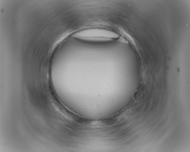 X0000062890059200602031817