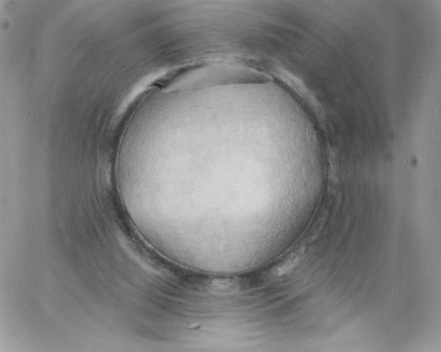 X0000062890060200602031817