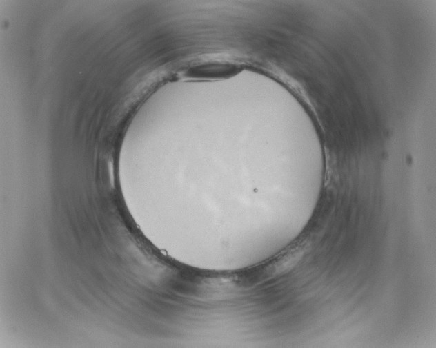 X0000062890061200602031817