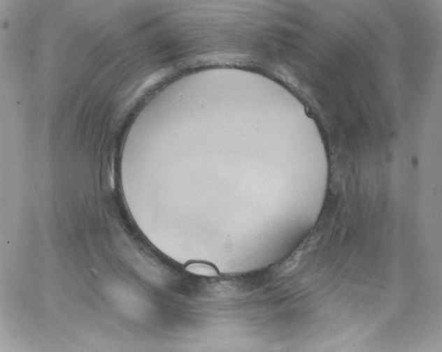 X0000062890062200602031817