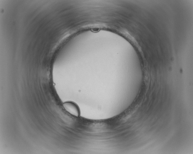 X0000062890063200602031817