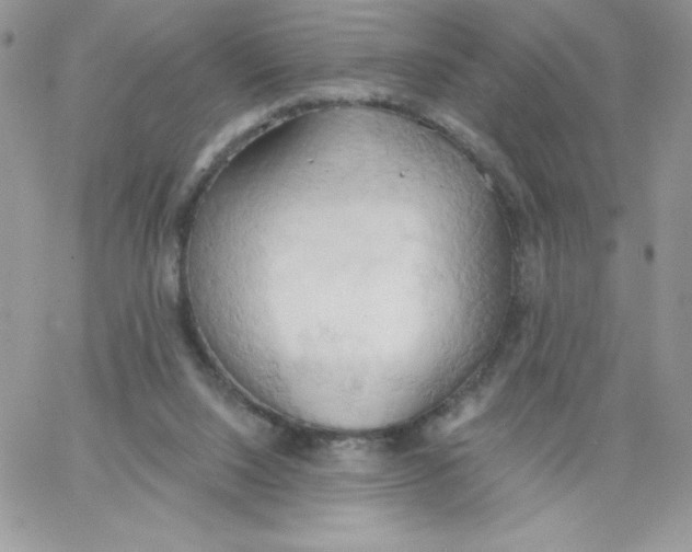 X0000062890064200602031817