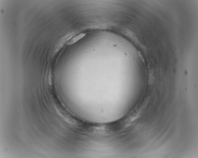 X0000062890068200602031817