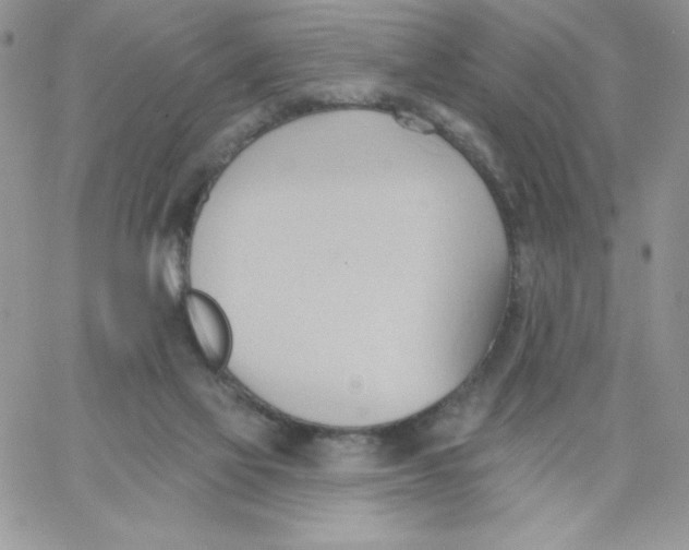 X0000062890069200602031817