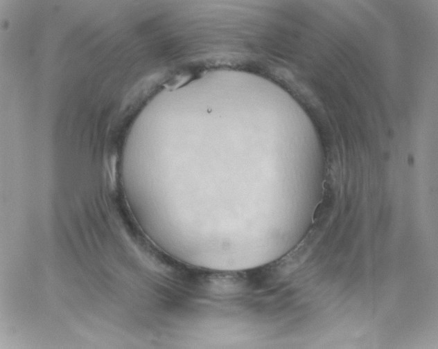 X0000062890070200602031817