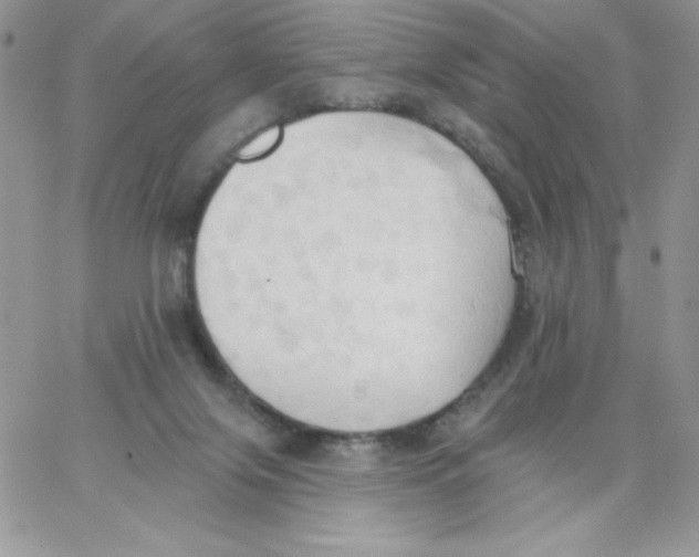 X0000062890071200602031817