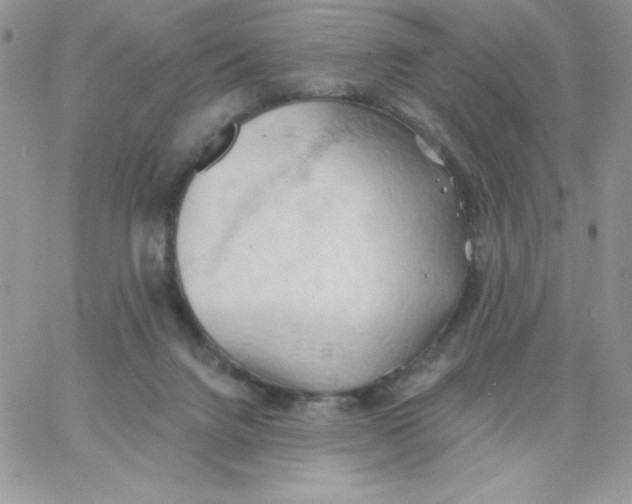 X0000062890072200602031817