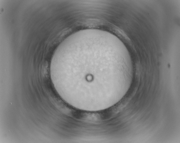 X0000062890073200602031817