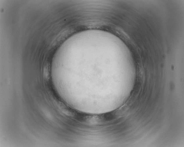 X0000062890074200602031817