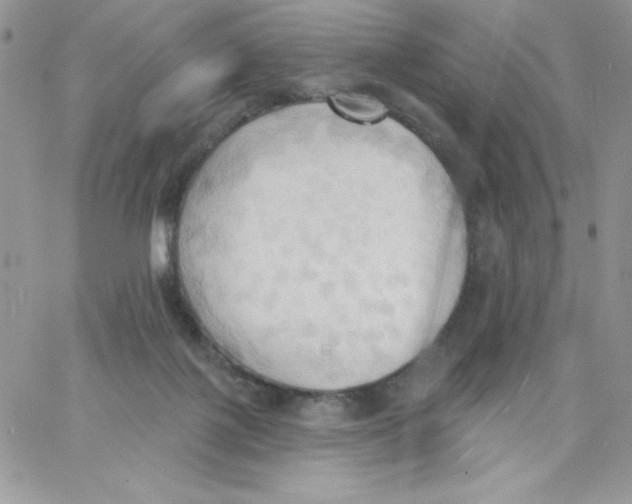 X0000062890075200602031817