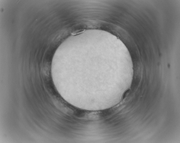 X0000062890078200602031817