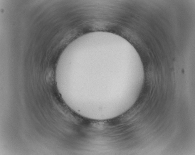 X0000062890079200602031818