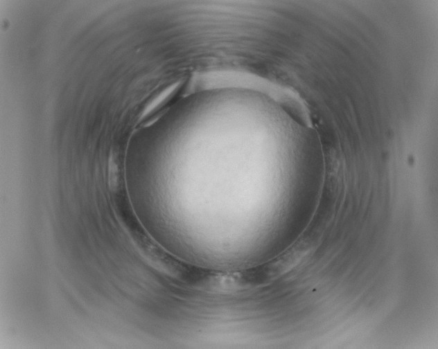 X0000062890080200602031818