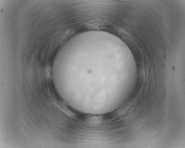 X0000062890081200602031818