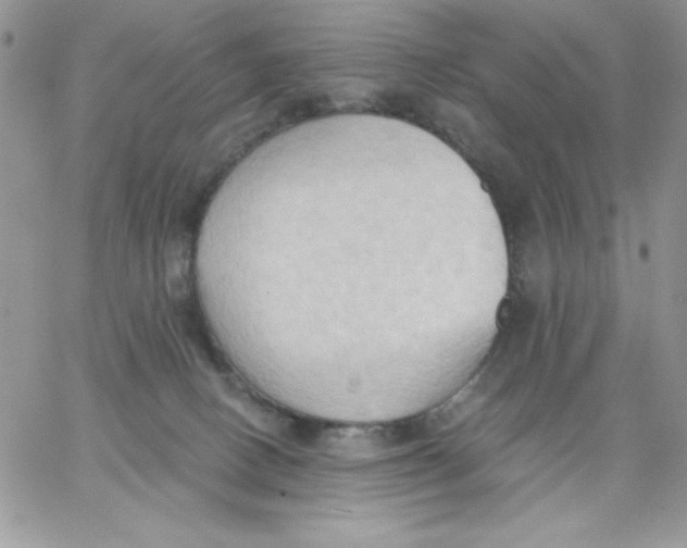 X0000062890082200602031818