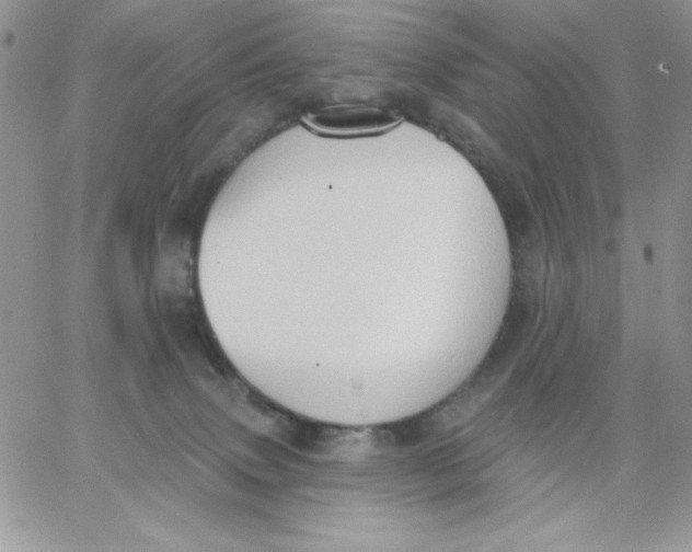 X0000062890083200602031818