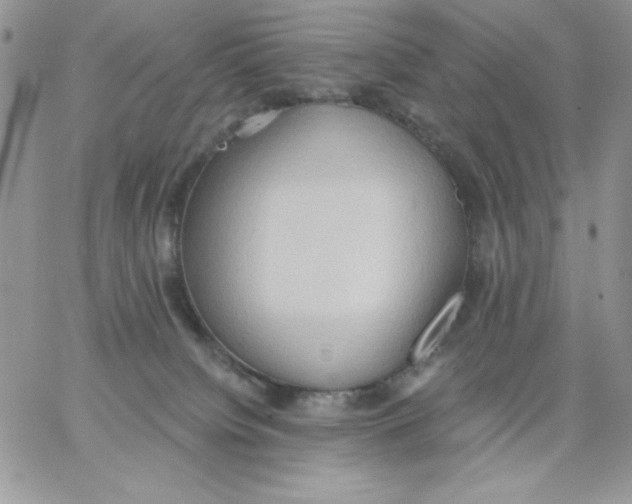 X0000062890084200602031818