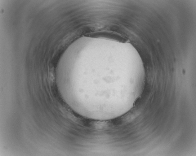 X0000062890085200602031818