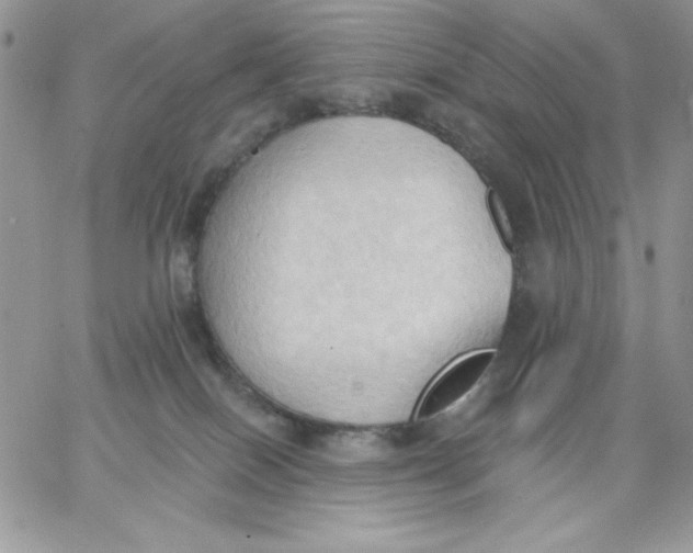 X0000062890086200602031818