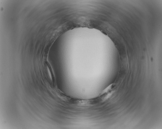 X0000062890088200602031818