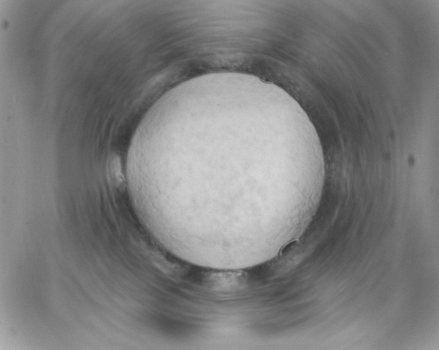 X0000062890089200602031818