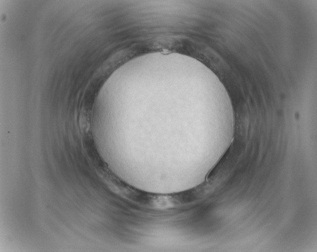 X0000062890091200602031818