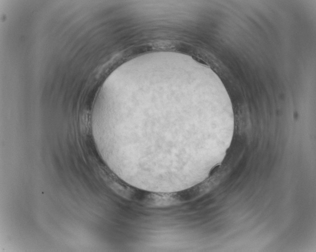 X0000062890093200602031818