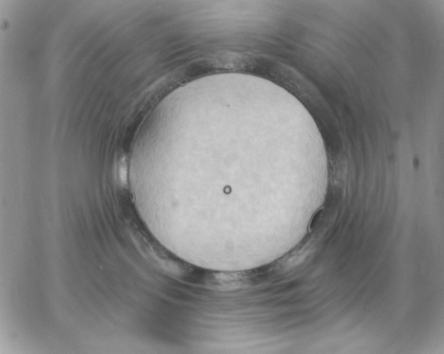 X0000062890095200602031818