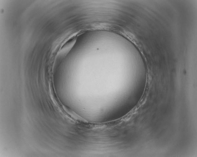 X0000062890097200602031817