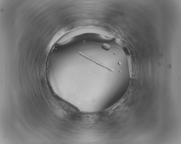 X0000062890099200602031817