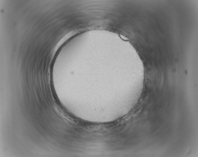 X0000062890100200602031817