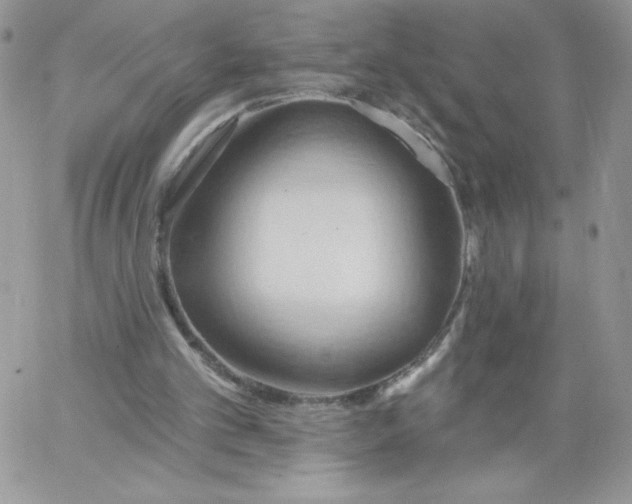 X0000062890101200602031817