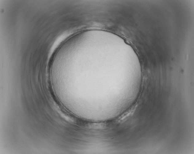 X0000062890102200602031817