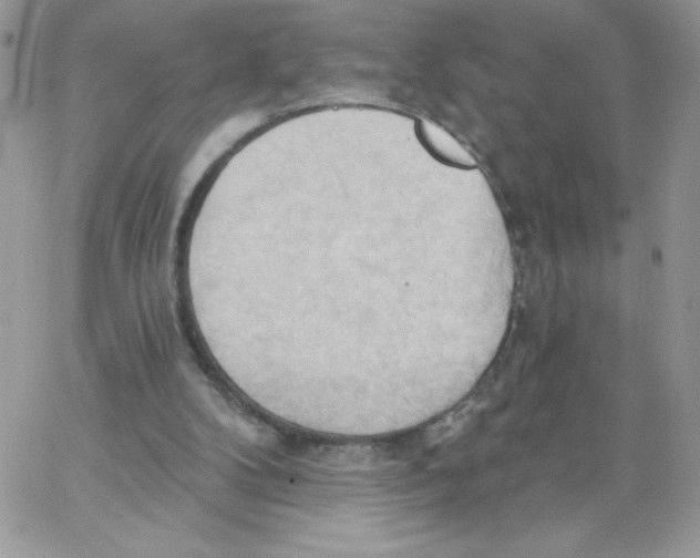 X0000062890104200602031817