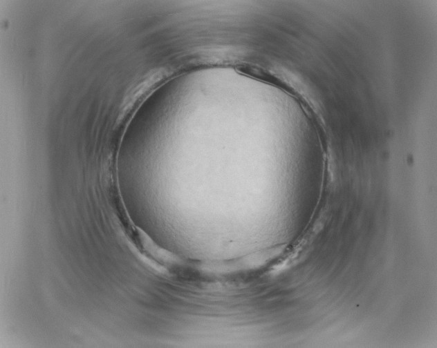 X0000062890105200602031817