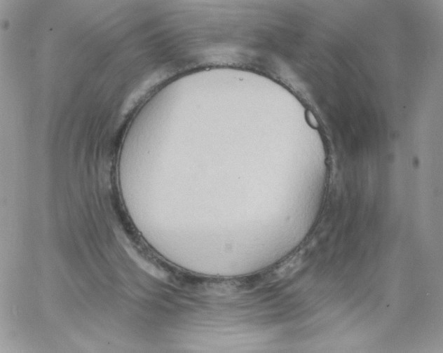 X0000062890106200602031817