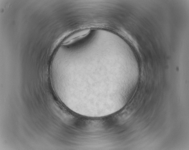 X0000062890107200602031817