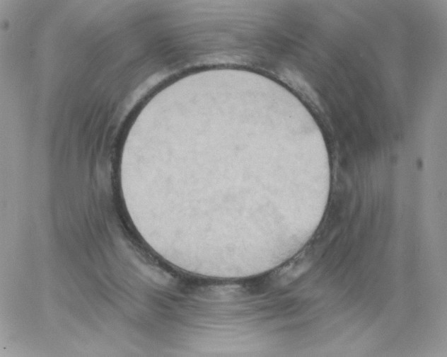 X0000062890108200602031817