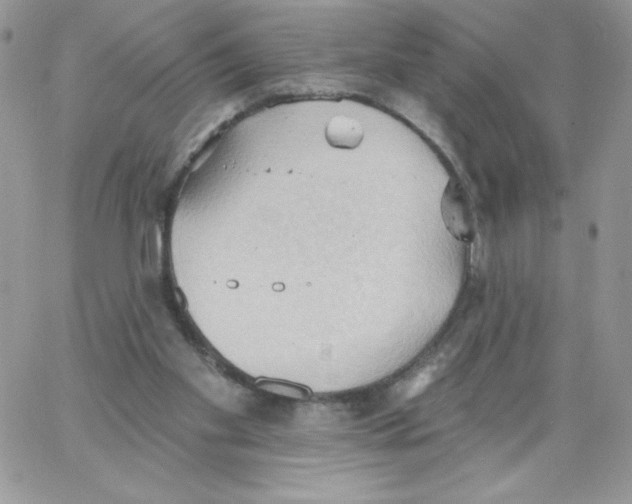 X0000062890109200602031817