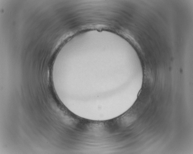 X0000062890110200602031817