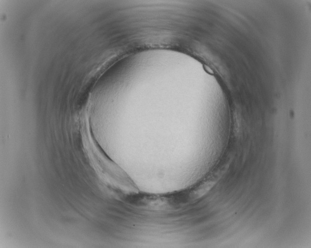 X0000062890113200602031817