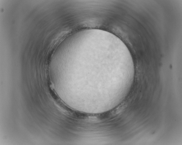 X0000062890114200602031817