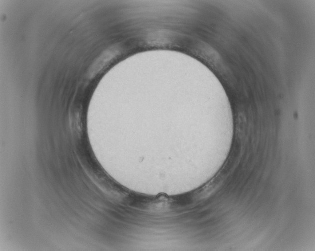 X0000062890116200602031817