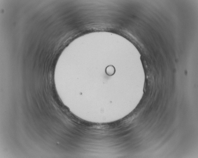 X0000062890117200602031817