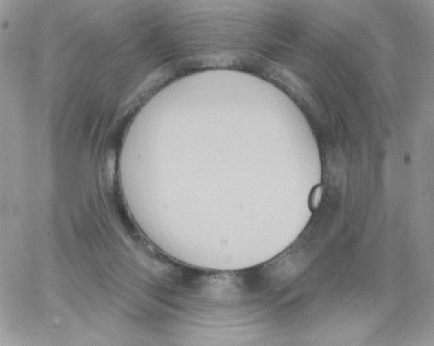 X0000062890118200602031817