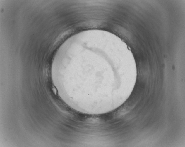 X0000062890119200602031817