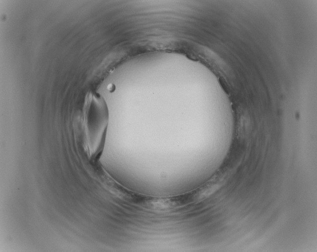 X0000062890121200602031817