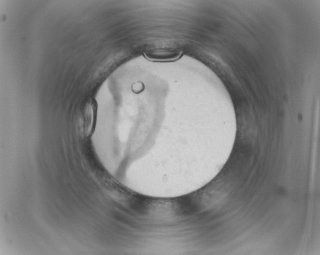 X0000062890123200602031817