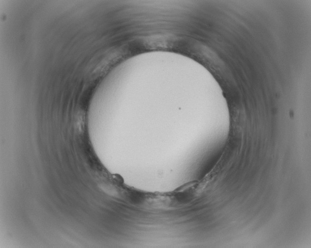 X0000062890125200602031817