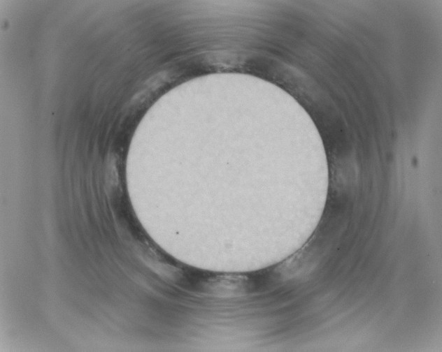 X0000062890128200602031817